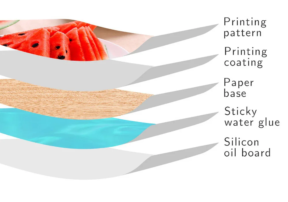 背胶相纸分解图111
