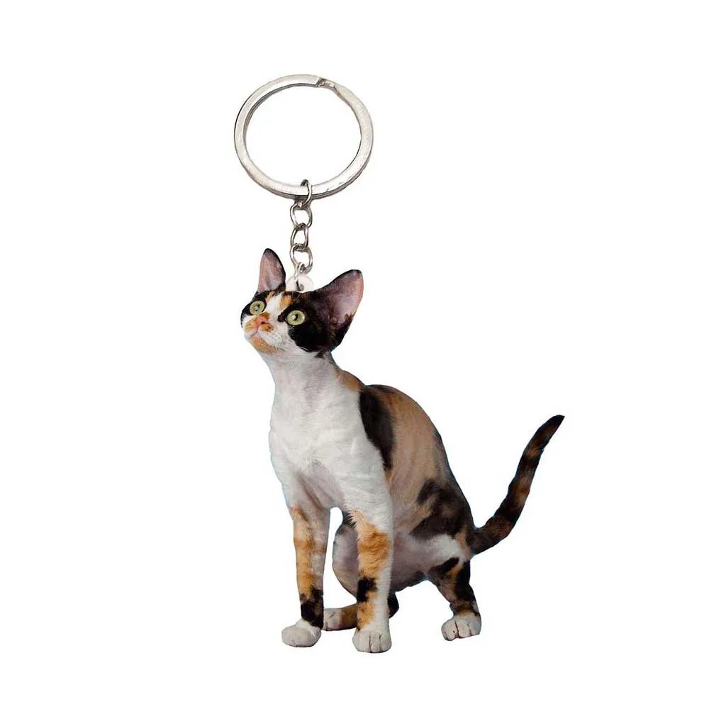 Милый брелок Devon Rex cat акриловая оправа 1 шт./лот для наблюдения за лучшими друзьями