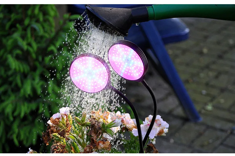 9199838267_1585587929