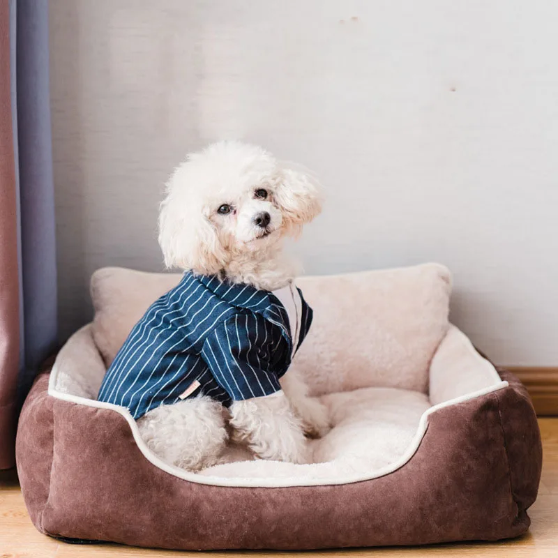 8527359276_2036273161