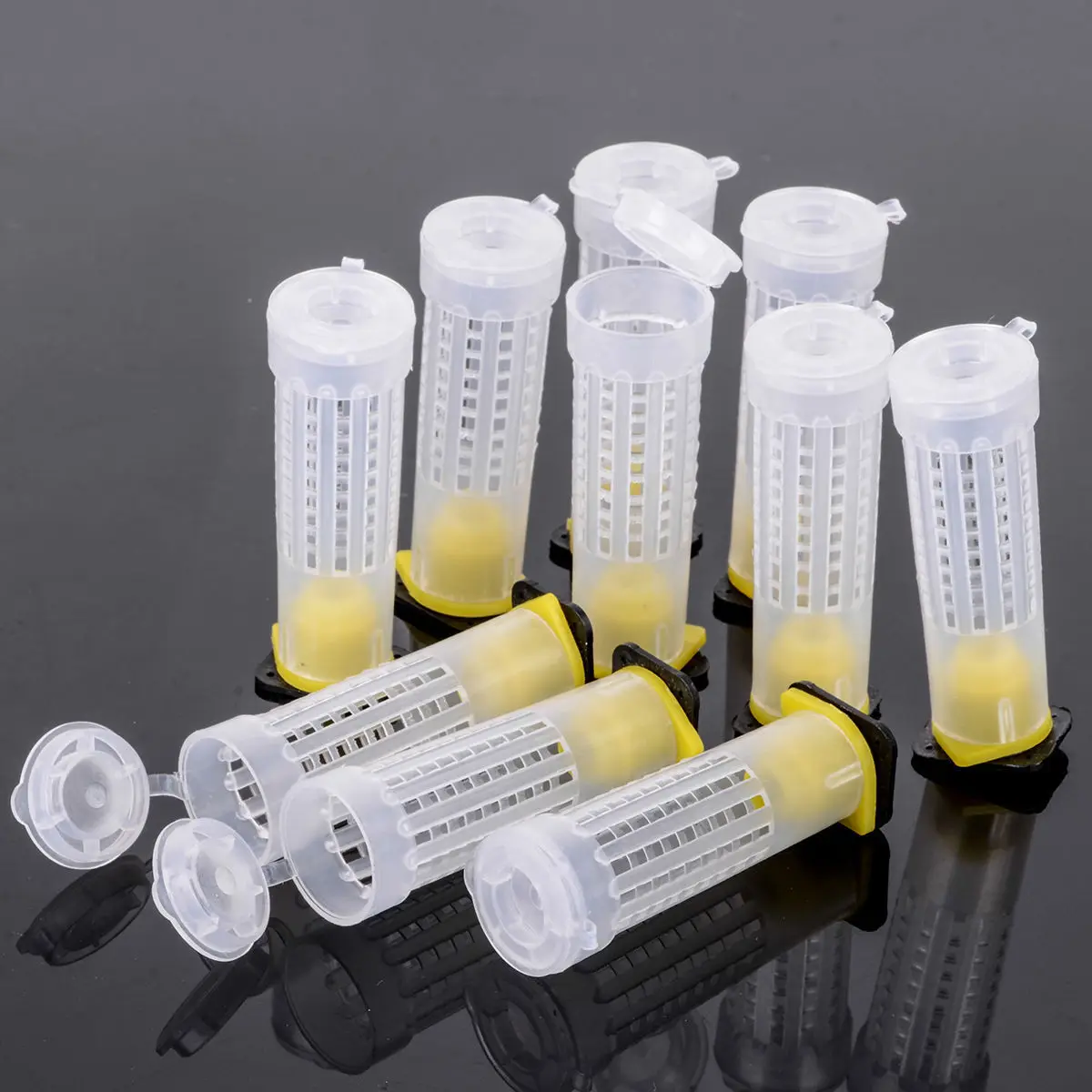 

White Roller Cages Plastic Fixture 100Pcs Beekeeping Rearing Queen Bee Cell Holder Cup Kit
