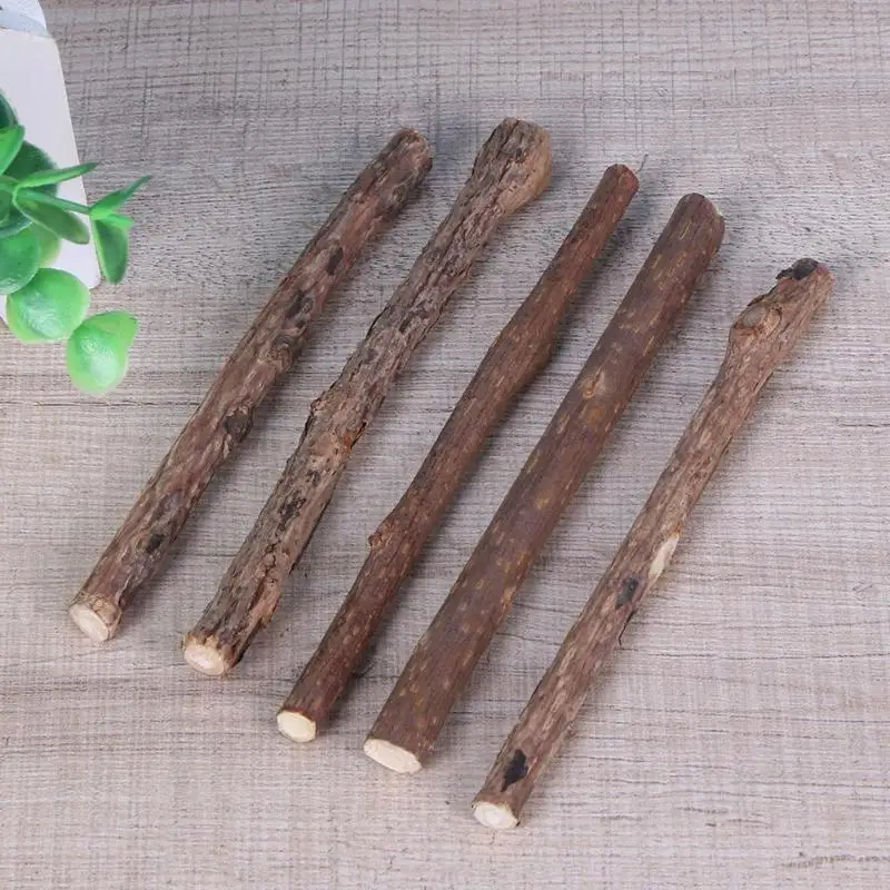 Кошачьи чистящие зубные молярные палочки Silvervine Actinidia зубная паста кошачьи закуски