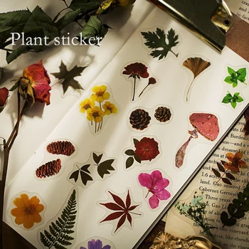 

40pcs/set Plant Specimens PET Transparent Bullet Journal Decorative Stationery Stickers Scrapbooking DIY Diary Album Stick Lable