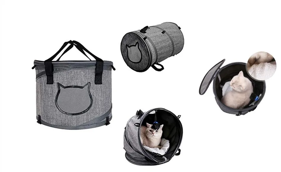 9609824674_1702532688_副本