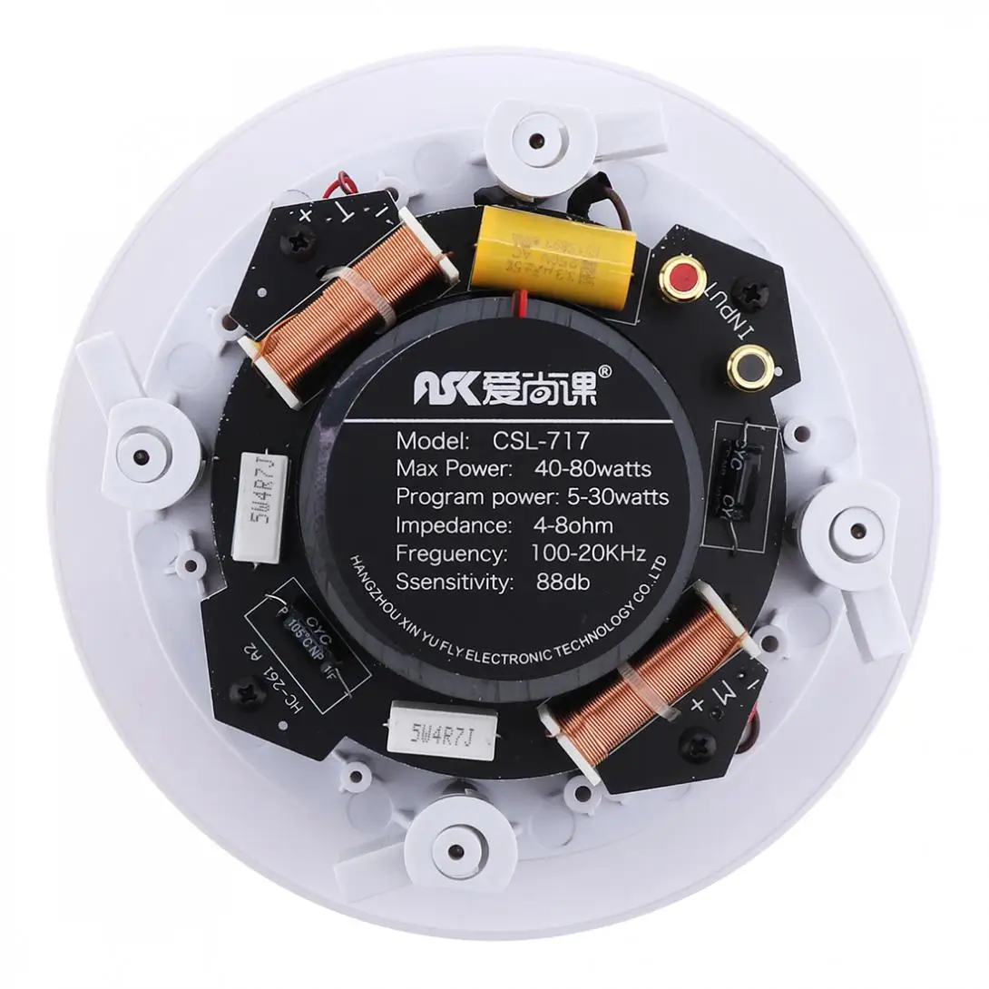 5 Inch 20W Coaxial Fixed Resistance Radio High