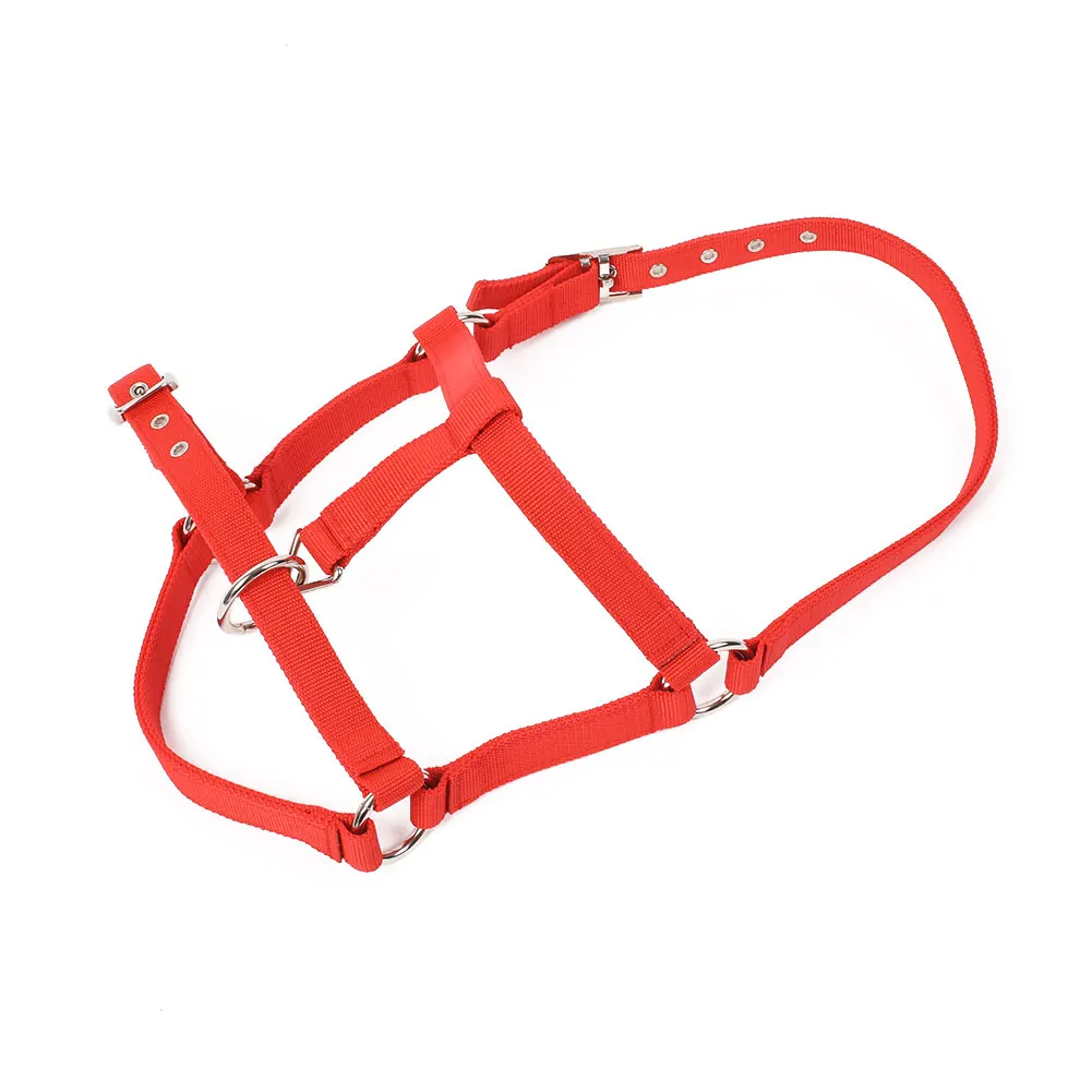 L Horse Riding Belt Bridle Adjustable Halter Headstall Horsing Accessory Red/Blue - Цвет: L