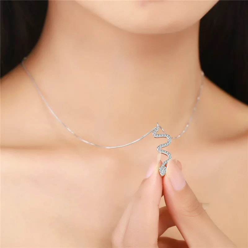 3645360312_231198511