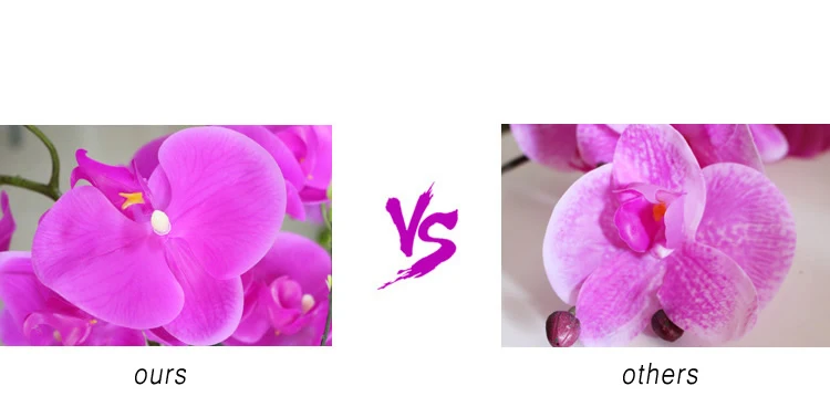 HTB1KhY7EVGWBuNjy0Fbq6z4sXXaq