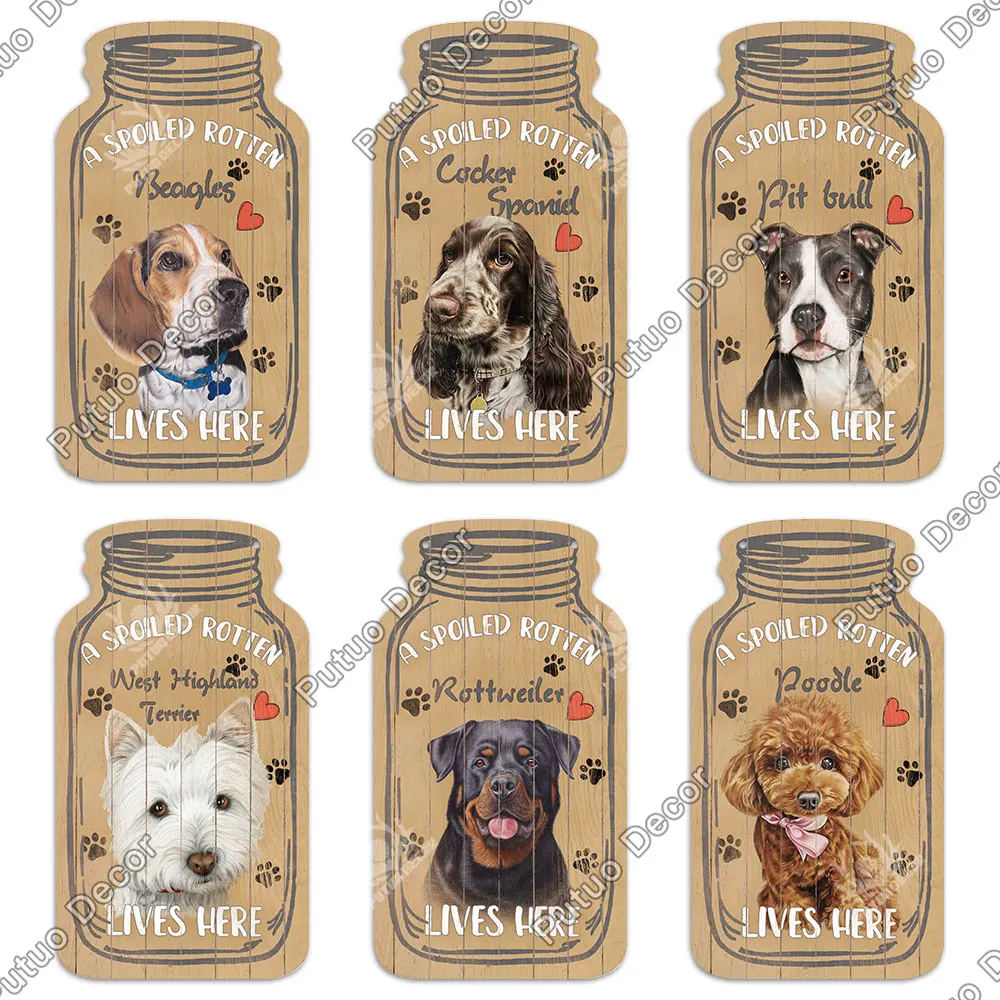 H2db18cd998594a84aedbadddffce3185I.jpg?width=1000&height=1000&hash=2000