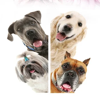 

1pcs Simple Door DIY Creative Funny Dog Wall Sticker Cute Sticker Animal Sticker for Kid Room Bedroom