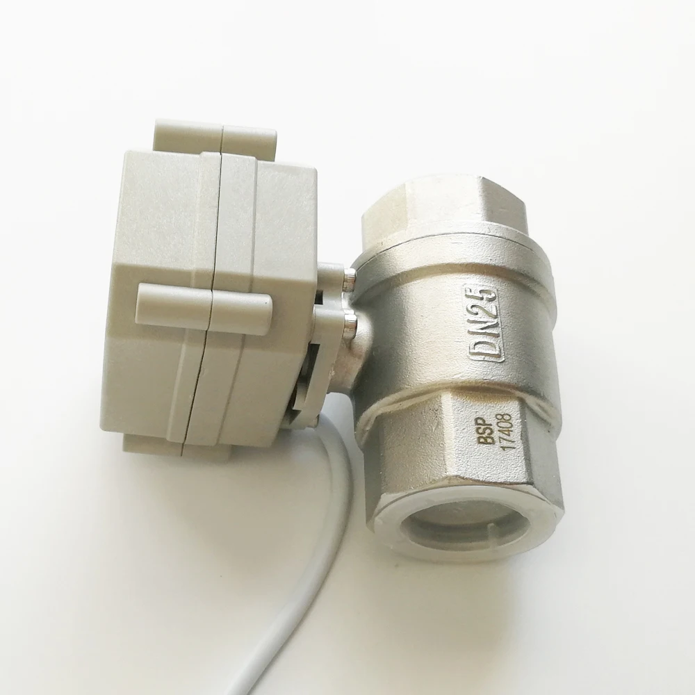 DN25 Metal Gear, AC110-220V, BSP, NPT, 1