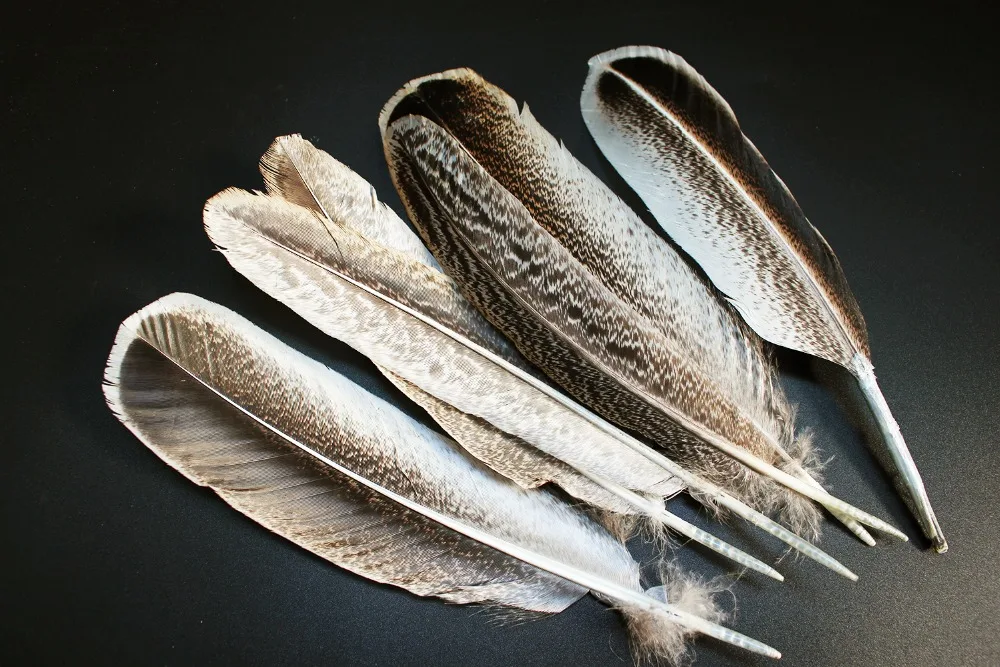Tigofly 6 шт. дикое крыло индейки Quills природа дикая Турция Перья крыло материал мухобойка Материал s