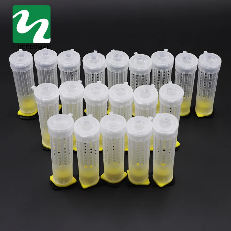1 Set Bees Tools Cages King Queen Rearing Cupkit System Bee Beekeeping Catcher Box Cell Cups Cage Nicot Complete Kit Apicultura