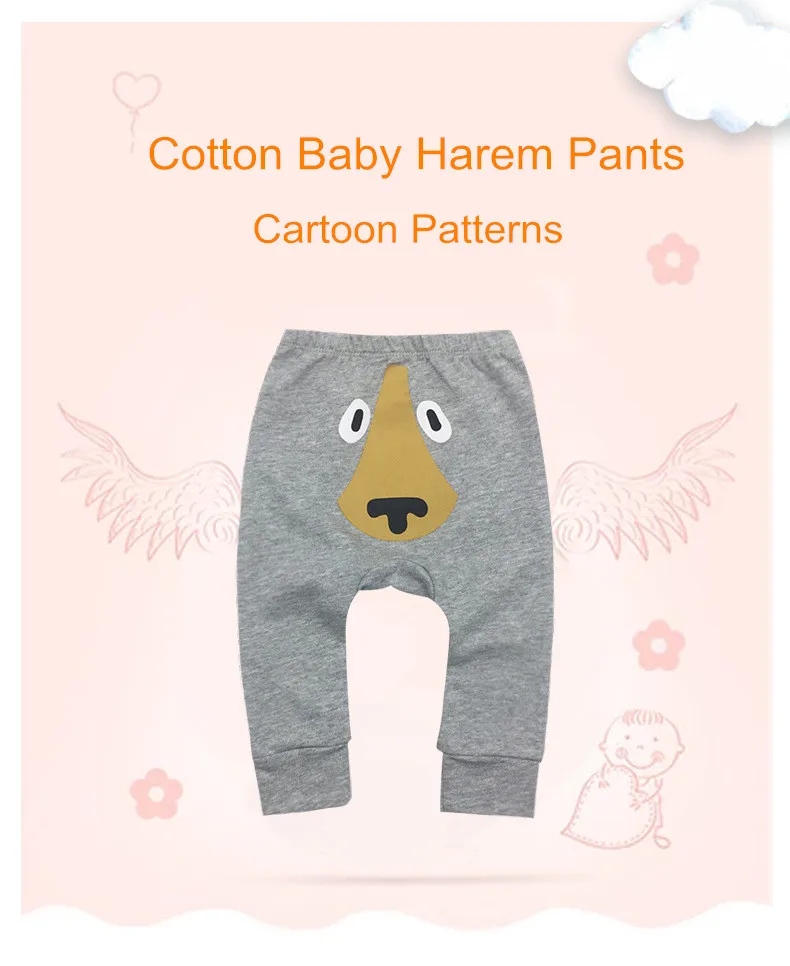 9507651378_1129817057