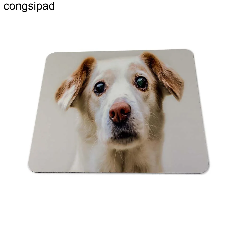 18X22CM Congsipad для собаки мышь под заказ Pad Мода Мстители компьютер Ноутбук игровой коврик для мыши коврик для Шарпей милые маленькие подушечки - Цвет: 18X22CM