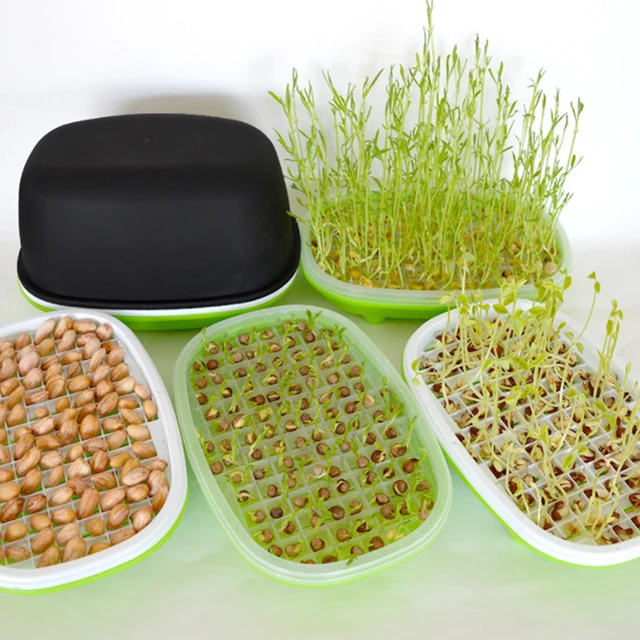 1Pc Hydroponic Bean Peanut Sprout Box Nursery Pot Pea Wheat Seedling Sprouter Garden Germination Soilless Planting Tray 3