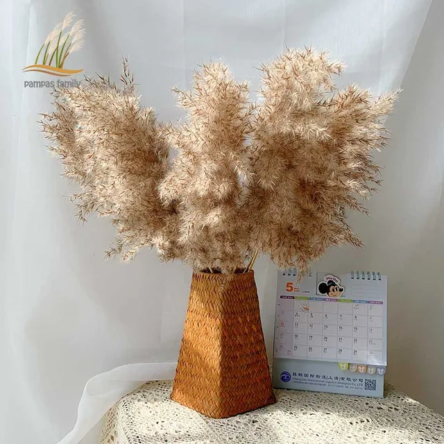 Hierba de PAMPAS Flores secas de 20 a 22 pulgadas para decoración del hogar, ramo Natural de flores secas, florero para decoraciones navideñas