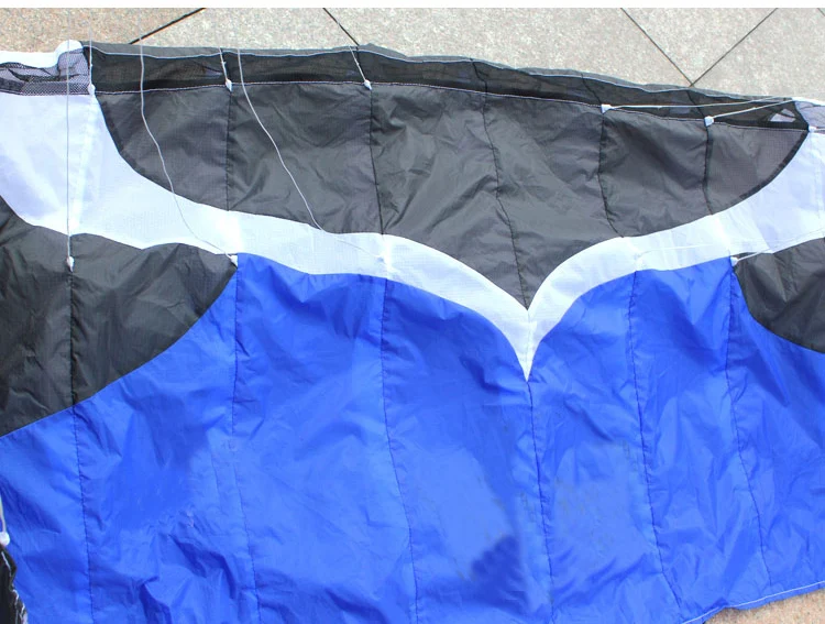 Professional 2m Stunt Dual Line Parafoil Kite With Line Power Braid Sailing Kitesurf  Sports Beach With Tools 4