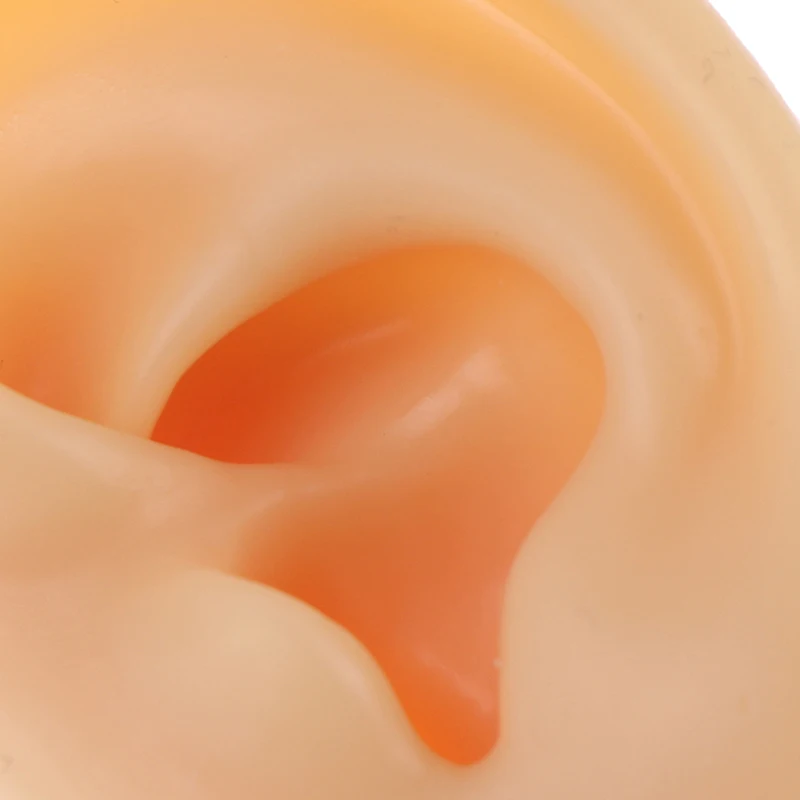 Silikon Ohr Modell Praxis Piercing Werkzeuge Ohr Stud Display Werkzeug Körper Schmuck – Detail 6