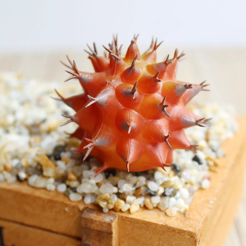 73e3696820240363d9eceb69766386e1