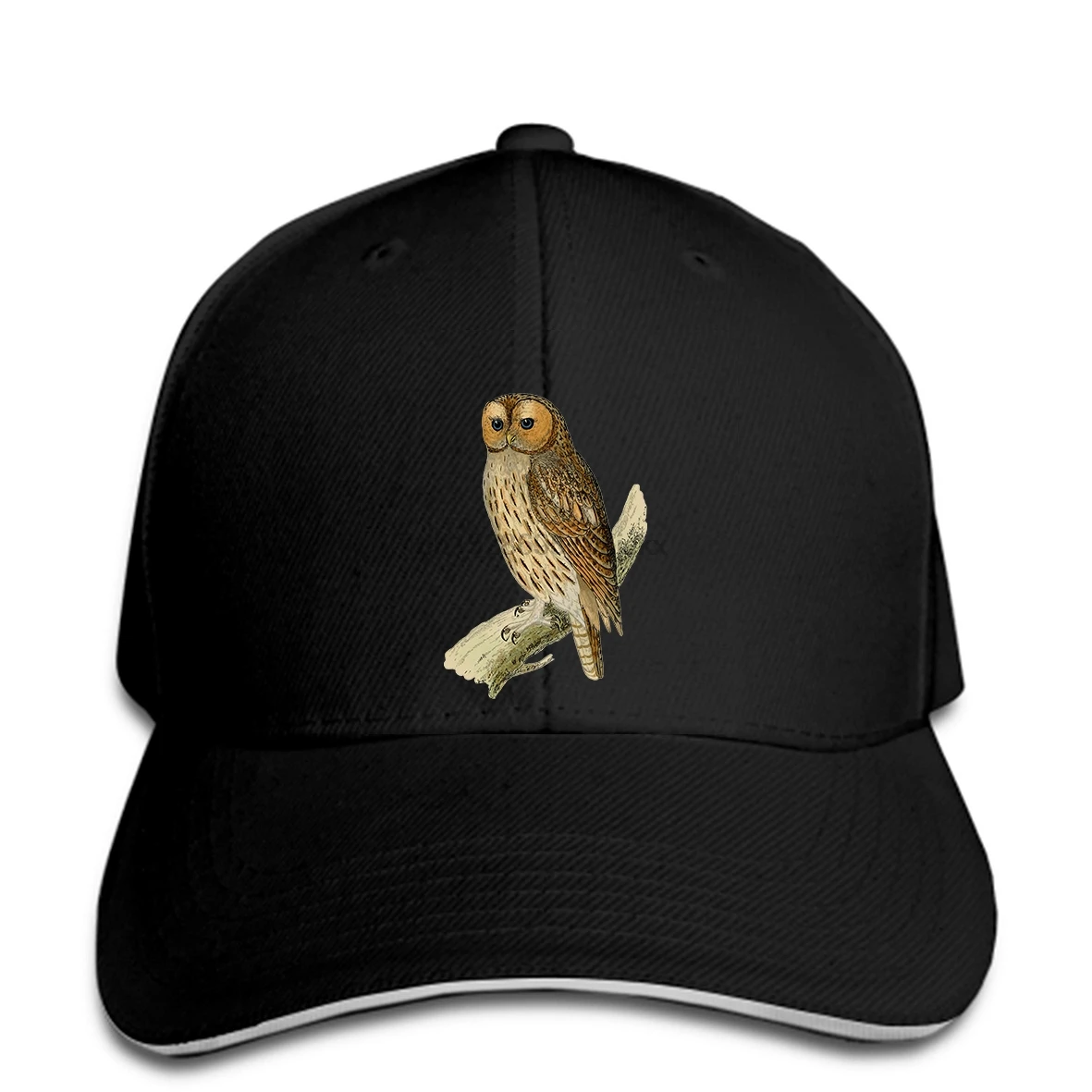 New Baseball cap Cute Cartoon Owl Drawing Birds Casual Trendy Cozy Tee snapback hat Peaked