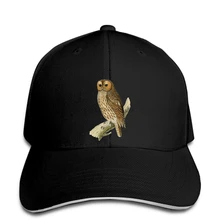 New Baseball cap Cute Cartoon Owl Drawing Birds Casual Trendy Cozy Tee snapback hat Peaked