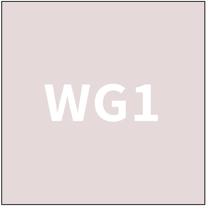 number-WG1 TOUCHFIVE 168 цветов одиночные художественные маркеры Кисть ручка эскиз на спиртовой основе маркеры двойная головка манга ручки для рисования товары для рукоделия - Цвет: number-WG1