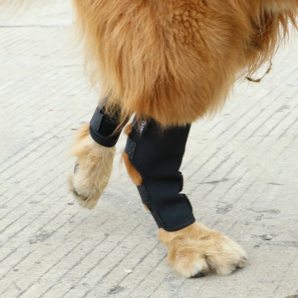 2 шт./компл. ПЭТ наколенники собака Поддержка наколенника ноги скакательный Обёрточная бумага дышащая травм восстановить протектор для ног Paw Обёрточная бумага s