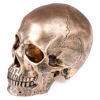 

1PCS Bronze Resin Skull Model Sculpture Statue Crafts Halloween Party Home Decoration Painting Medical Model 19cm*14cm