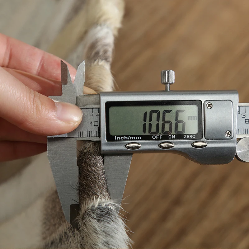 TB2ziu_hR0kpuFjSsziXXa.oVXa_!!785188837