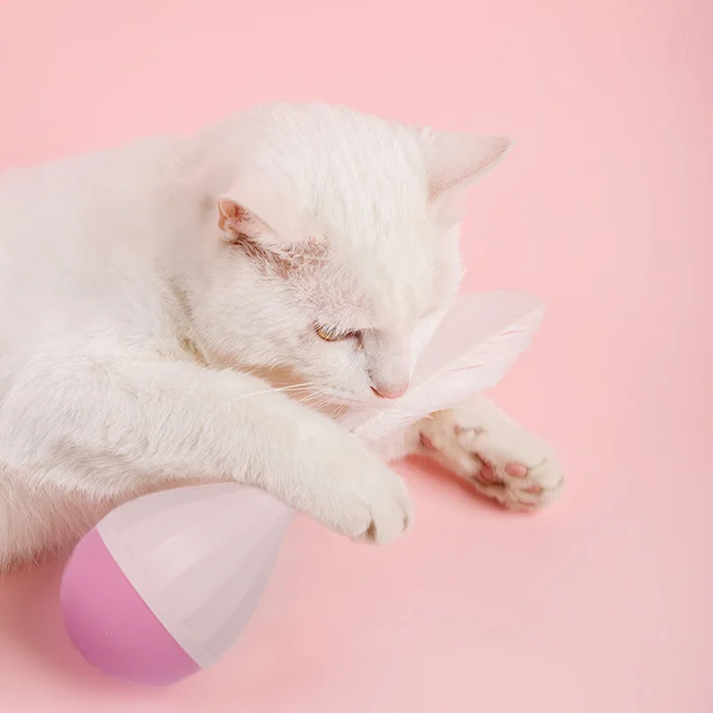 

Pet cat interactive rolling ball toy funny stick training tumbler pet feather automatic