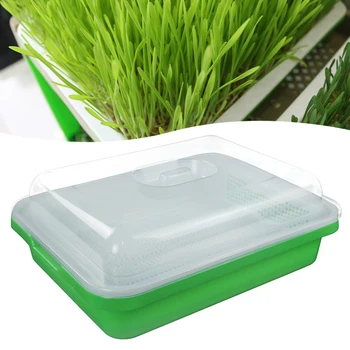 

Thicken Deepen Sprouts Planting Plate Moisturizing Insulation Cover Double Encryption Seedling Plate Sprouts Growing Trays