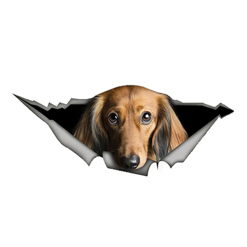 

Creative 3D Red Long-haired Dachshund Animal Car Sticker Accessories Motorcycle Waterproof Car Window Decal PVC 13cm X 6cm