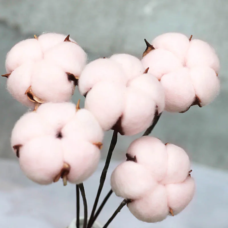 10864509219_1403346045