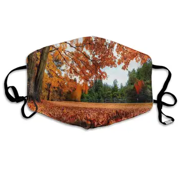 

Dustproof Washable Reusable Maple Leaf Autumn Mouth Cover Mask Respirator Germ Protective Warm Windproof Mask