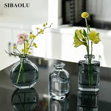 Прозрачная ваза в скандинавском стиле, настольная Цветочная композиция, маленькая стеклянная посуда, гидропонное стекло, бутылка, декоративный орнамент, ваза для цветов