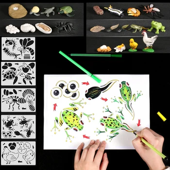 

Animals Growth Cycle Life Cycle Learning Set Animal Figures with Drawing Painting Stencils Montessori Educational Toys for kids