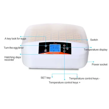 

YZ-32S/56S Eggtester Automatic Egg Incubator LED Chicken Egg Hatcher Machine Incubatores for Hatching Goose Quail Chicken Eggs