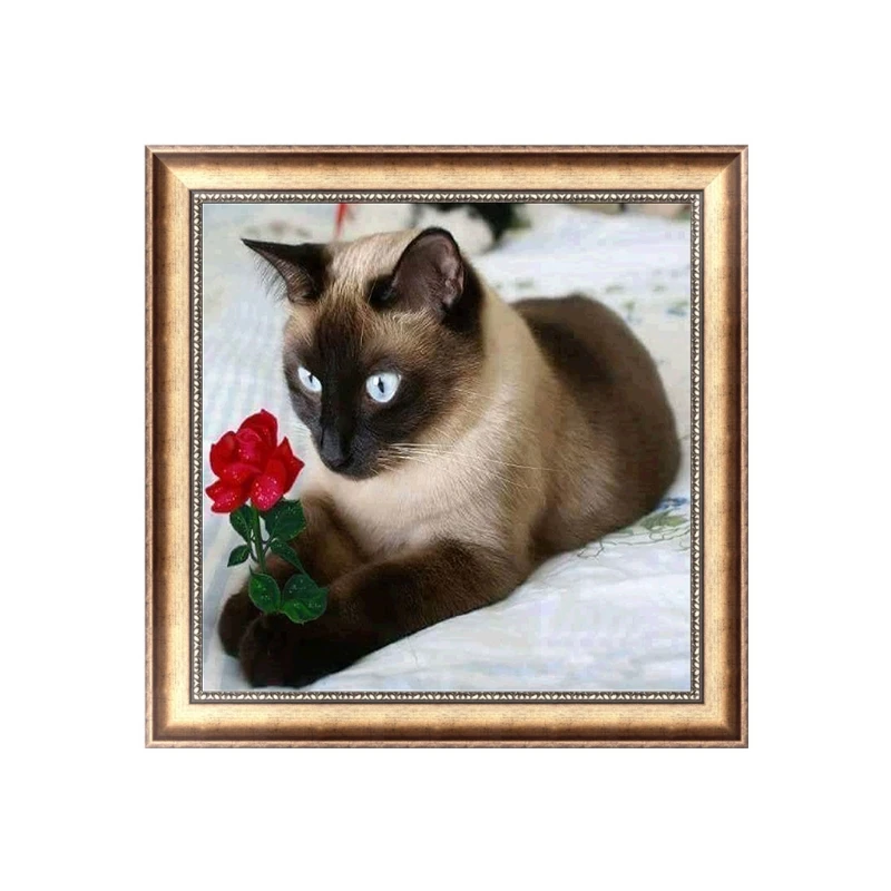 

5D DIY Diamond Painting Flower Cat Embroidery Cross Crafts Stitch Home Decor Q6PE