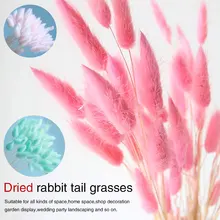 30 шт./лот, Натуральные сушеные цветы, красочный настоящий букет цветов для дома, свадебное украшение, кроличий хвост, трава, букет