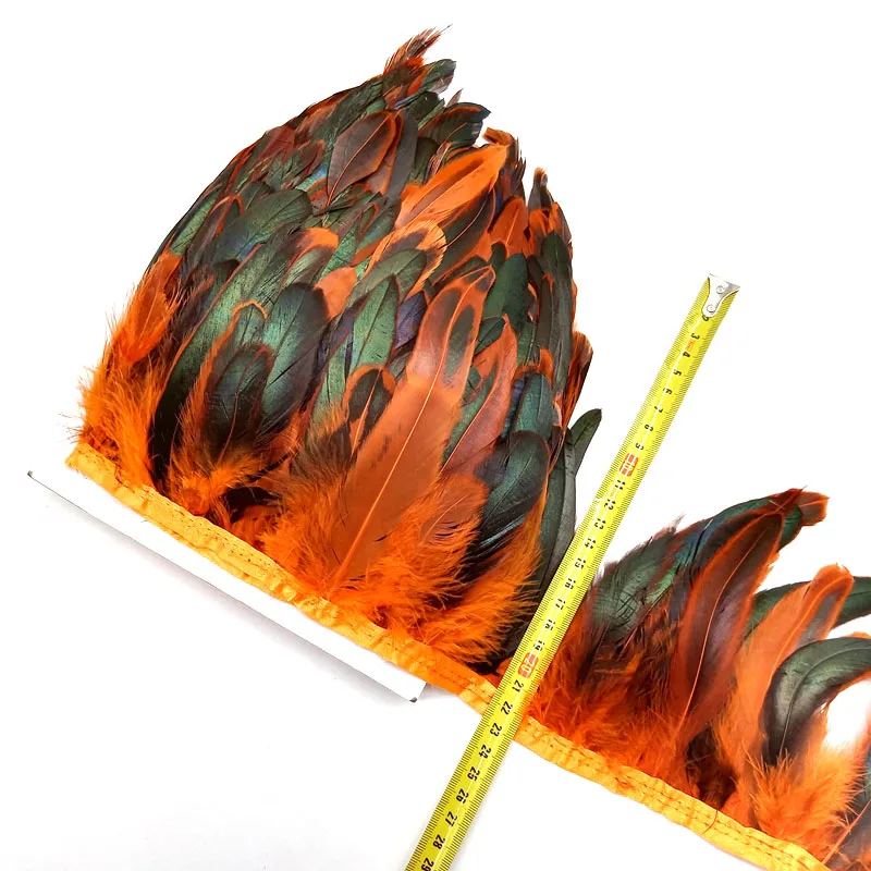 Orange feathers