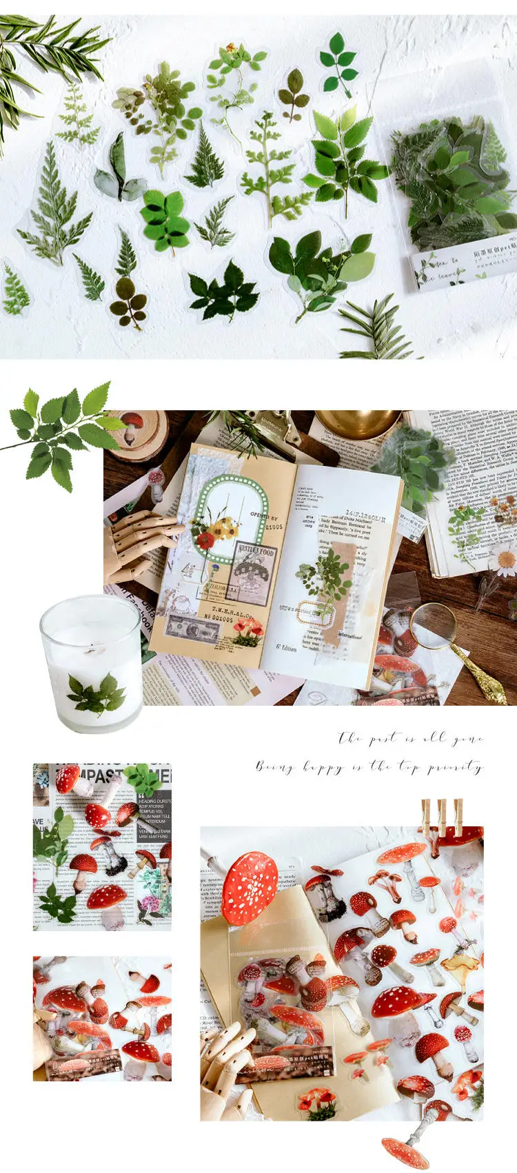 aeProduct.getSubject() https://img.alicdn.com/imgextra/i2/665554948/O1CN01m0ePXs1mQEJsjQ0Lp-665554948.jpg_.webp