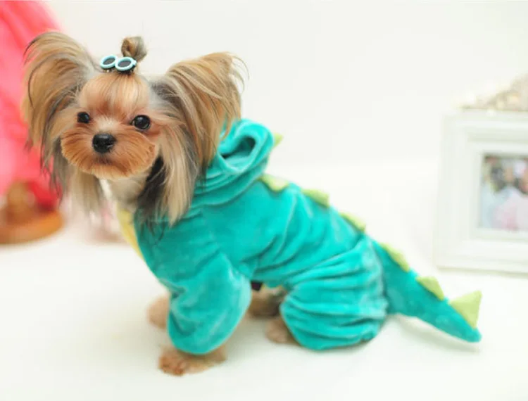 1690589191_1827303196