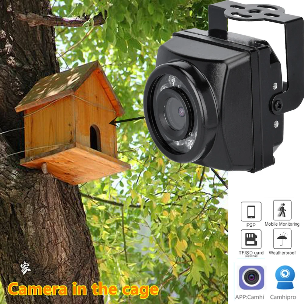 Small Outdoor Mini Ir Ip Poe Cameras Night Vision Ipc Wide Angle Audio  Video Security Camera Surveillance P2p Onvif Bird Cage - Ip Camera -  AliExpress