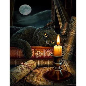 

DIY Painting By Numbers Cat on Books Oil Coloring By Numbers Wall Art Canvas Picture Hand Painted Home Decoration Gift 40x50cm