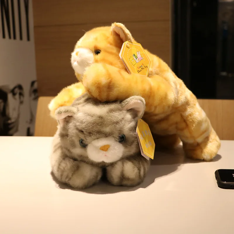 Игрушки для животных, супер Meng Bigeye, кот, тигр, узор, кошка, кукла, автомобильная игрушка, детский подарок для женщин