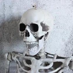 В виде скелета на Хэллоуин скелет украшения труп комнаты Набор реквизит декорация дом с привидениями ужас человеческая кость медицинское