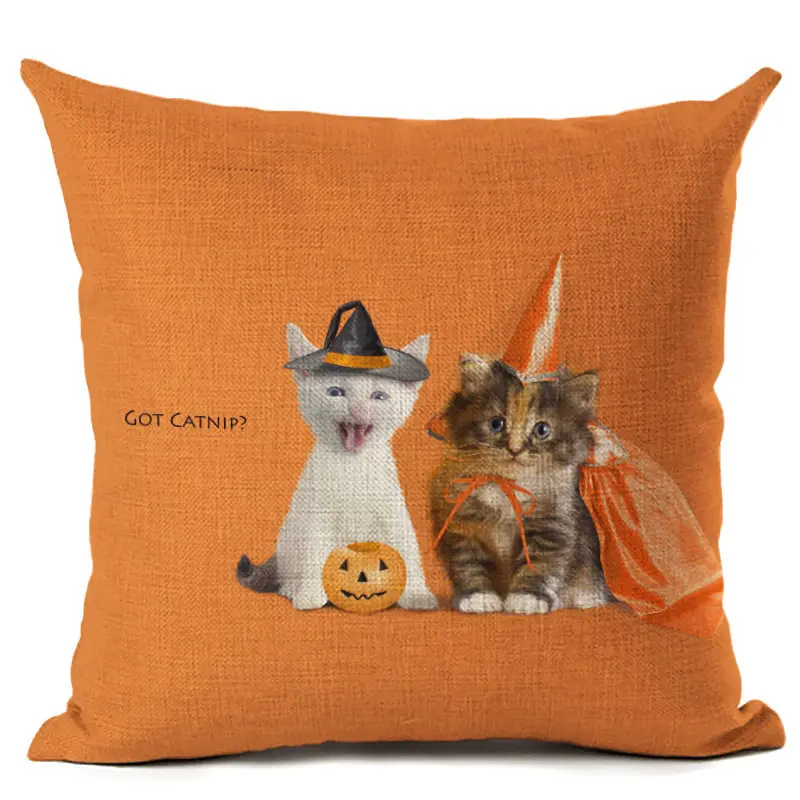 3403242435_1255064235 (2)