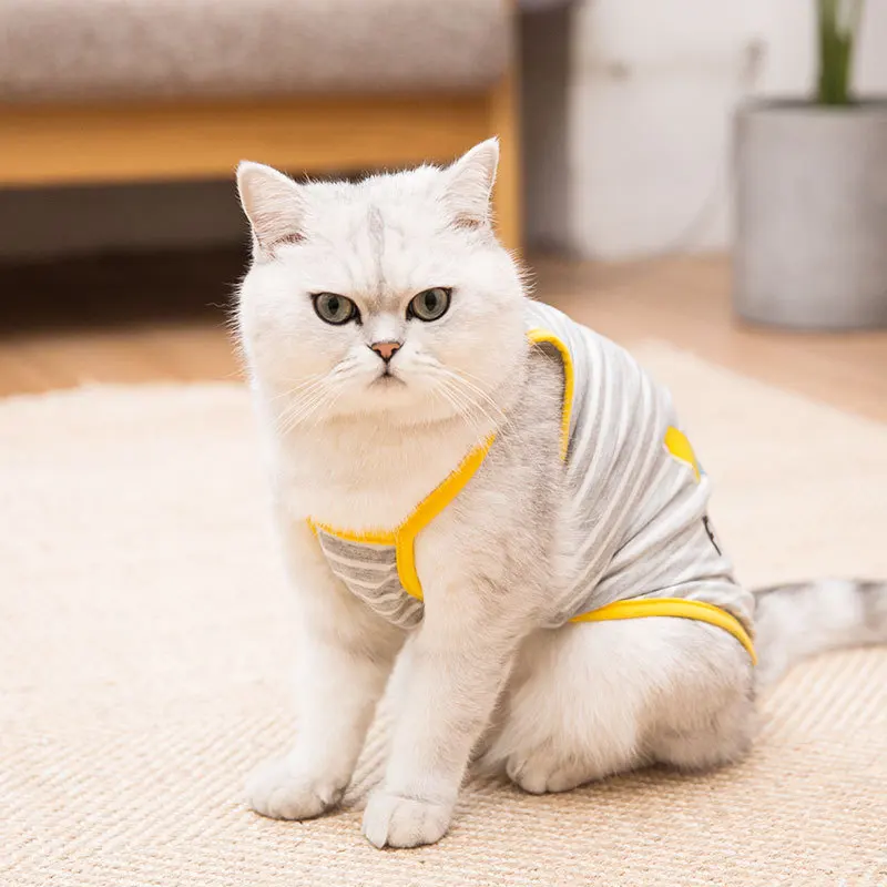 Online Celebrity Kitty Clothes Pet Cat Popular Brand Spring Summer Thin Section Cute Vest Style English Short Spring And Autumn