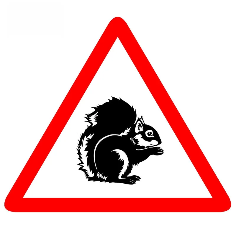 

Funny Animal Warning Squirrel Animal Car Sticker Waterproof Reflective Decal Auto Accessories PVC for All Cars,11cm*9cm